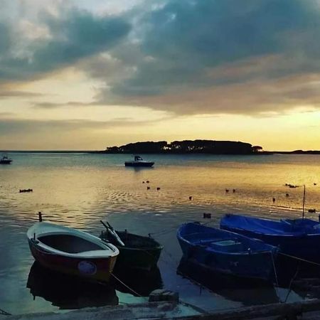 B&B Fior Di Mare Porto Cesareo Exterior foto